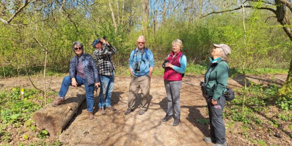A group of birders standing in the woods